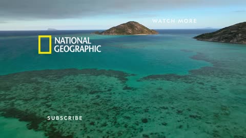 America the Beautiful: Wildlife Heartlands | MEGA EPISODE | National Geographic