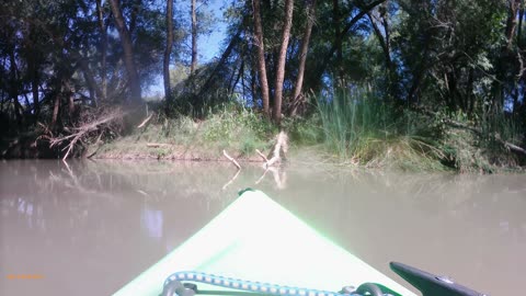 kayaking Verde 8/4/25 #1
