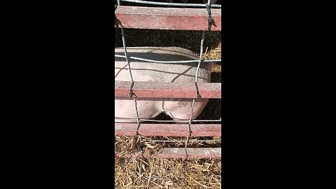 Fall on the Farm