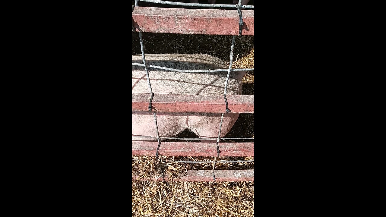 Fall on the Farm