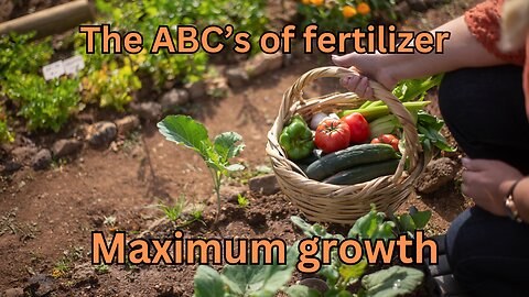 The ABCs of Fertilizers : Boost Your Garden's Growth