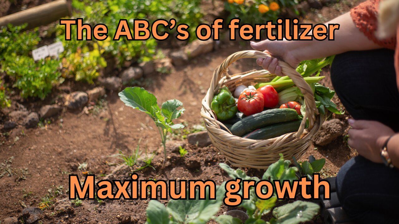 The ABCs of Fertilizers : Boost Your Garden's Growth