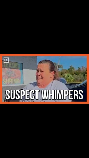 "I Ain't Done Nothing Wrong!" Suspect Whimpers During Arrest for 27 Storage Unit Burglaries