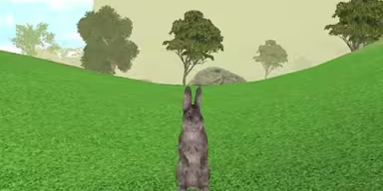 I'm a Bunny! | Bunny Simulator