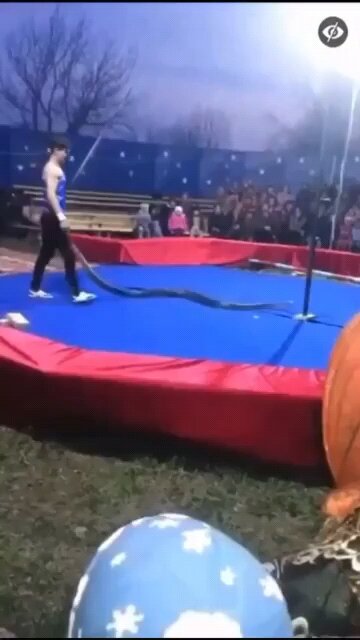 “You knew damn well I was a snake before you took me in”