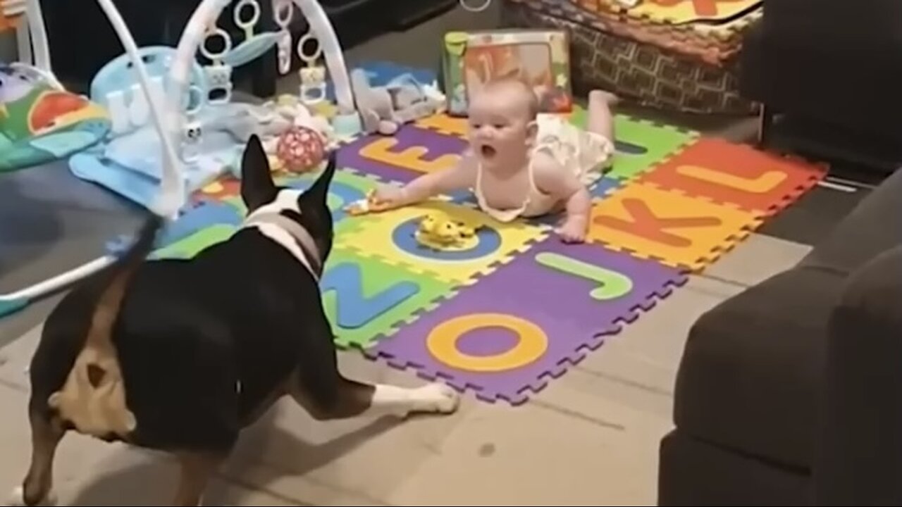 Cute babies playing with pets