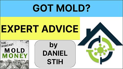 The Ultimate Mold Consultation Service: Expert Advice on Mold Remediation, Testing & Mold Removal