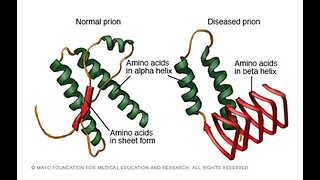 Prions for Dummies with Kevin W. McCairn PhD