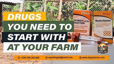 Drugs You Need To Start With At Your Farm | ep21 #goatfarming #farming