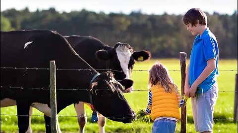 Kids Take Over Ranch: Turning Quantity to Process!
