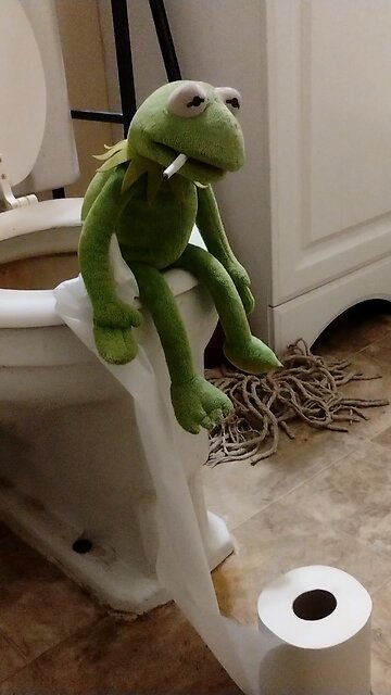 they almost got Pepe 🐸🐸🐸