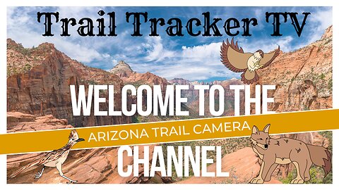 Arizona Trail Camera Video Javelina caught on camera