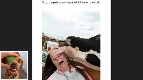 Memes That Will 99.0353% Make You Laugh. (e577)