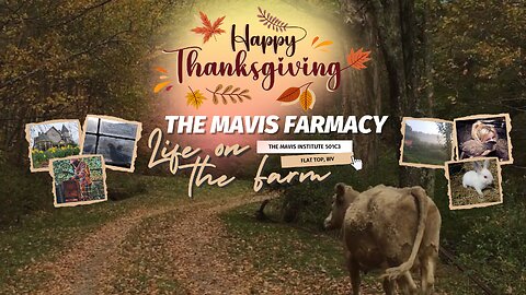 🍂 Holler Radio: Happy Thanksgiving 🦃| IRL Life on the Farm | Music + Alan Watts 📻