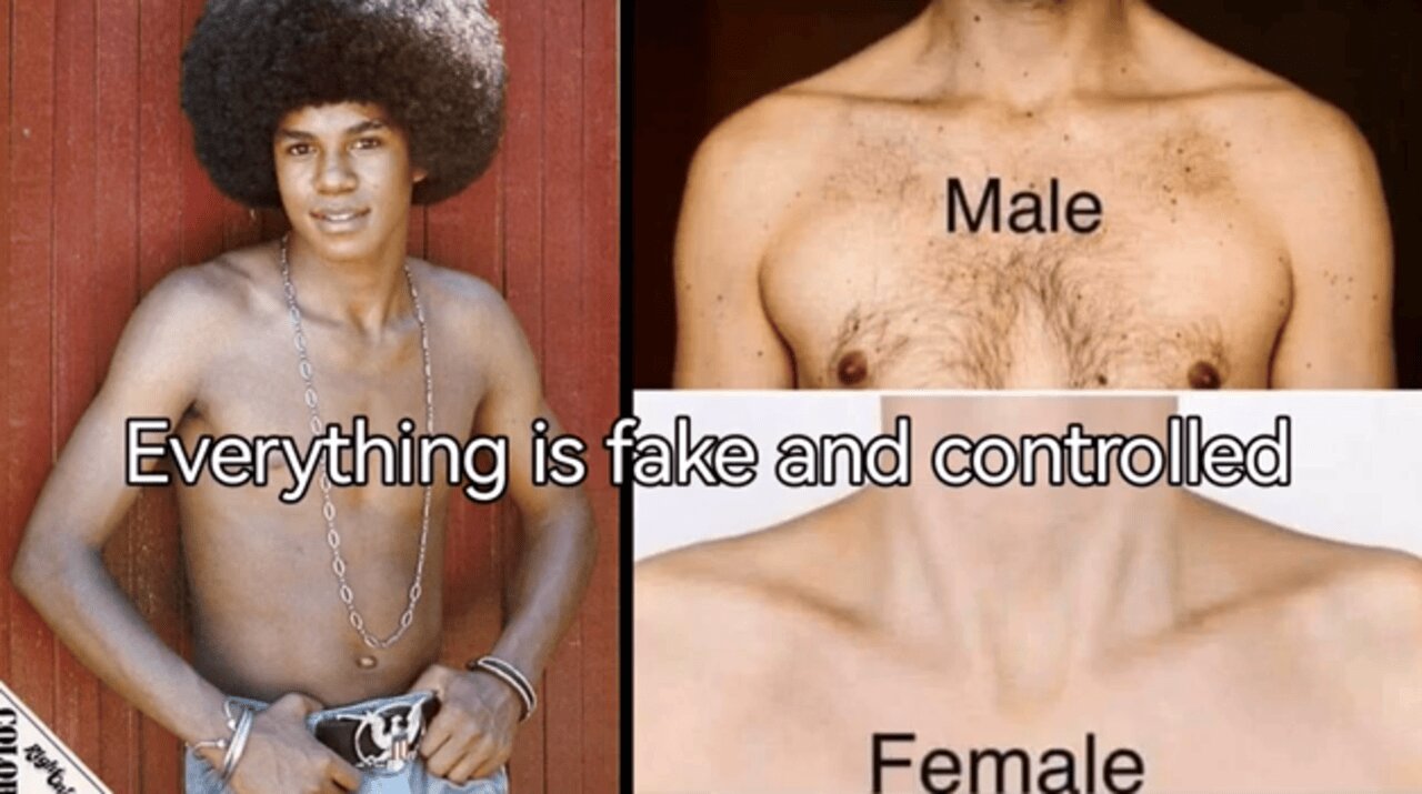 HIDDEN WORLD: U'VE GOT THE LOOK (OF A TR@NNY) #EliteGenderInversion #freemasonry #theGREATWORK