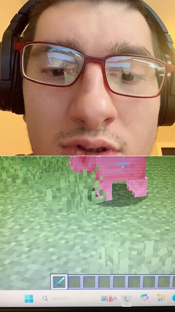 #playingminecraft
