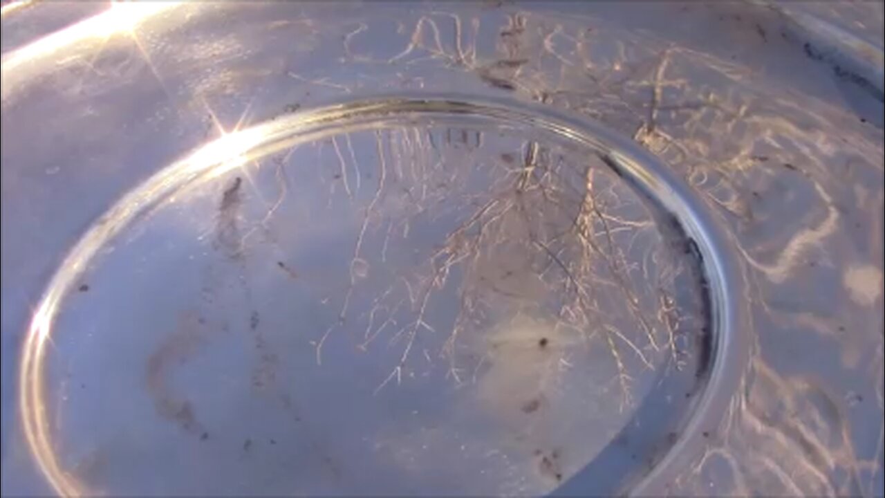 How to Polish Tarnished Sterling Silver Plate to Mirror Finish