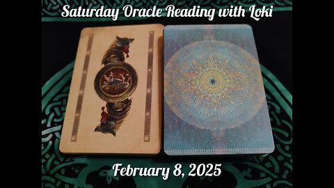 Saturday Oracle Reading with Loki: February 8, 2025