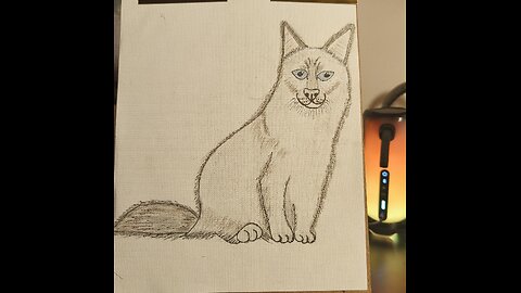 Cat sitting- Siddende kat - Gato sentado