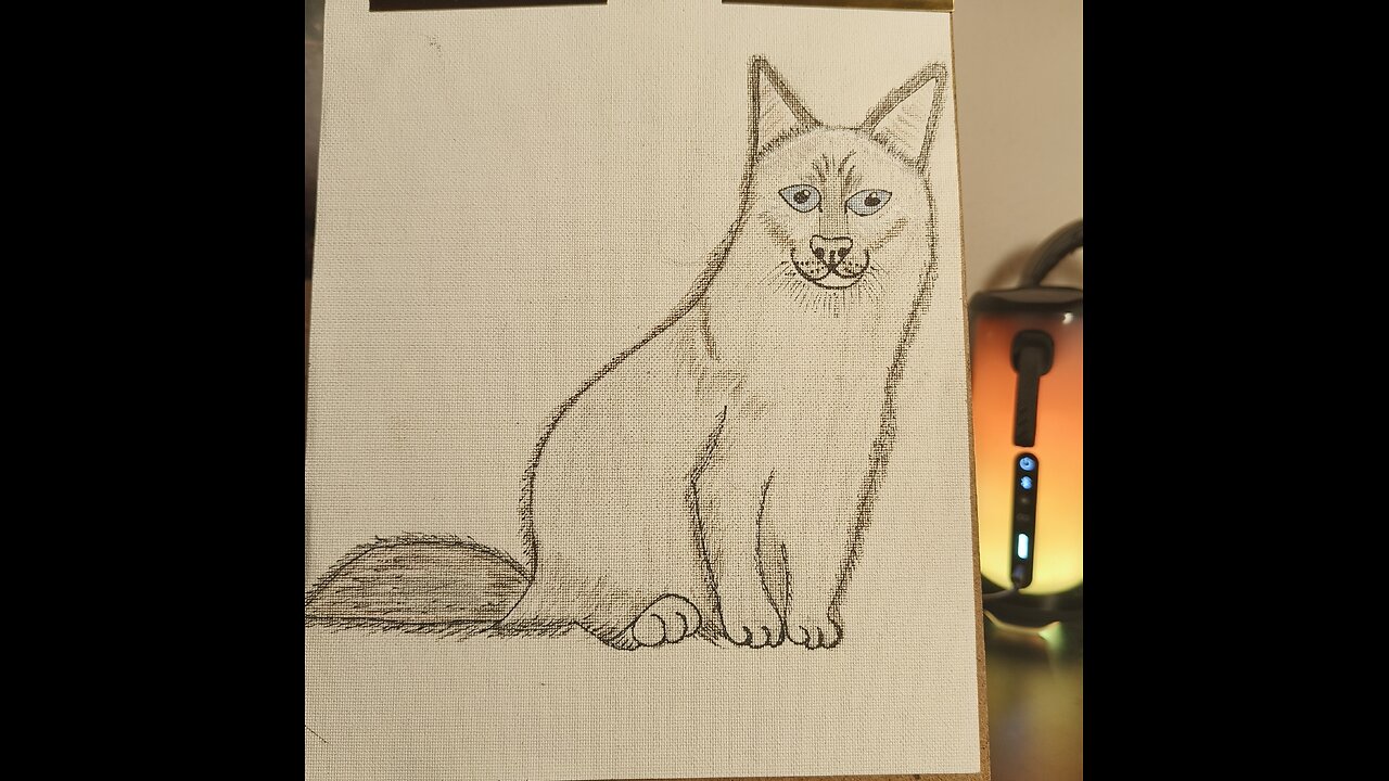 Cat sitting- Siddende kat - Gato sentado