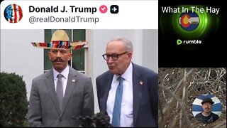 TRUMP ROASTS Chuck Schumer & Hakeem Jeffries about gov SHUTDOWN