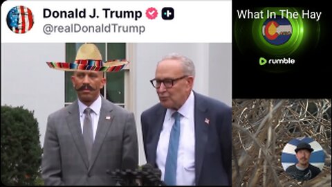 TRUMP TROLLS Chuck Schumer & Hakeem Jeffries about gov SHUTDOWN