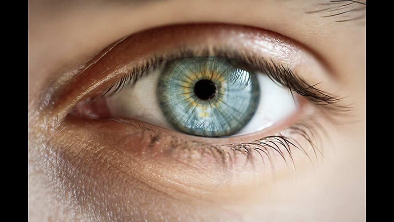 Do You SEE What I SEE? -- LogicBeforeAuthority