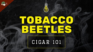 Cigar Factory Beetle Prevention | Storage, Freezing & More