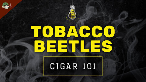 Cigar Factory Beetle Prevention | Storage, Freezing & More