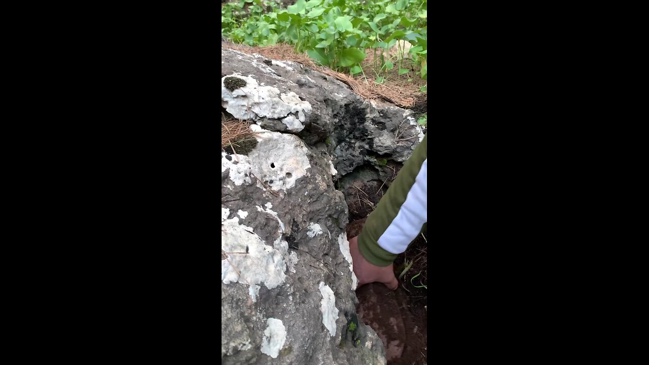 treasure Hunt gooldseeker please follow me