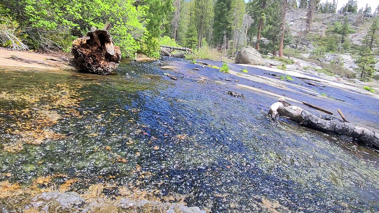 Relaxing Yosemite Stream