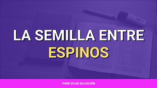 🌱 ️La semilla entre espinos | Marcos 4:18-19