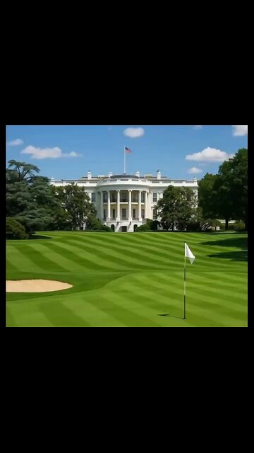 🚨 Best Idea Ever! 😂😂