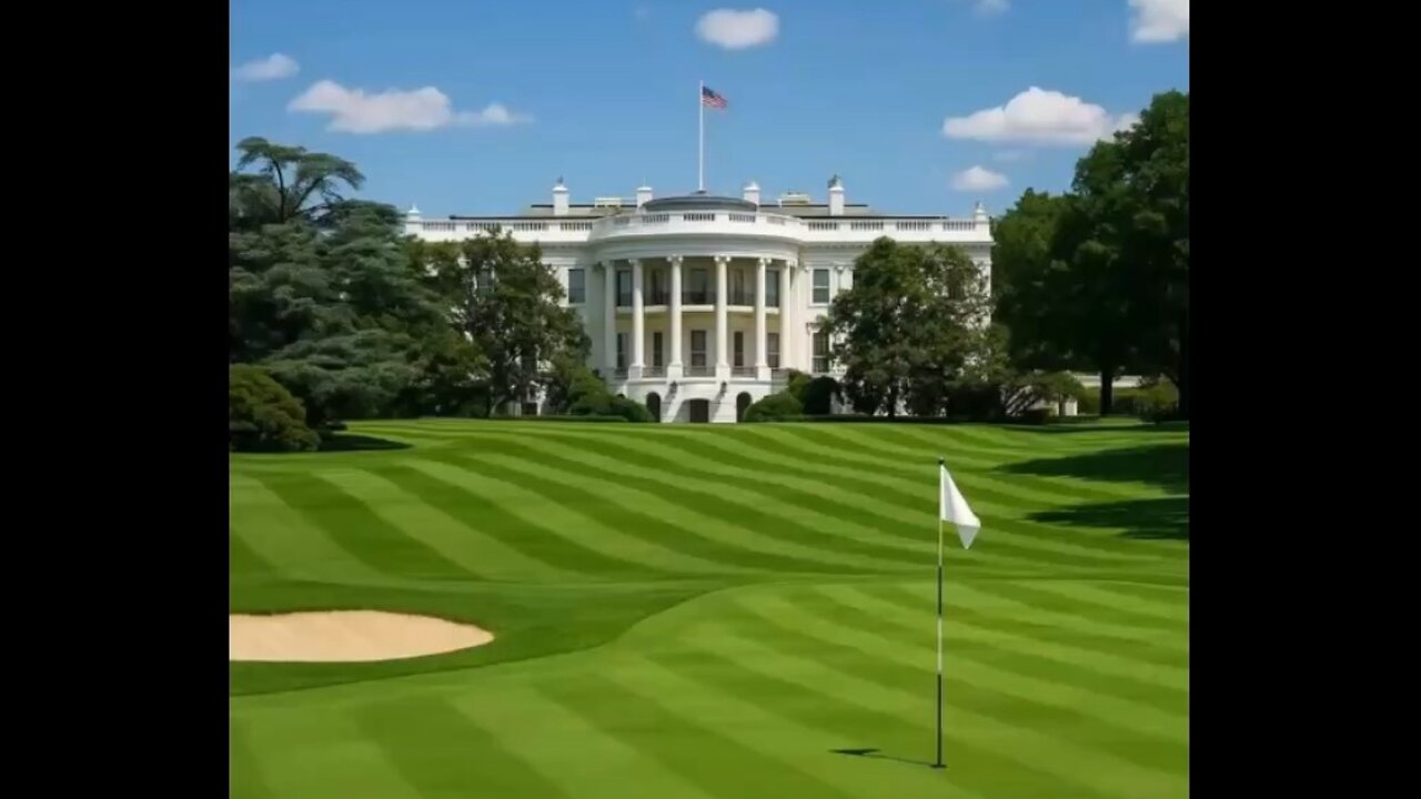 🚨 Best Idea Ever! 😂😂