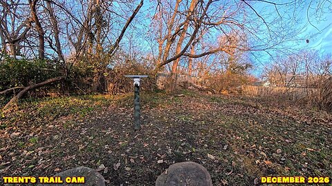 Trent's Trail Cam Landscape - December 2026