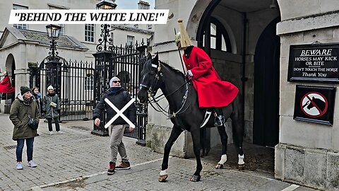 Watch the King's Guard Reacting to a Tourist Who Crossed the White Line at Horse Guards in London