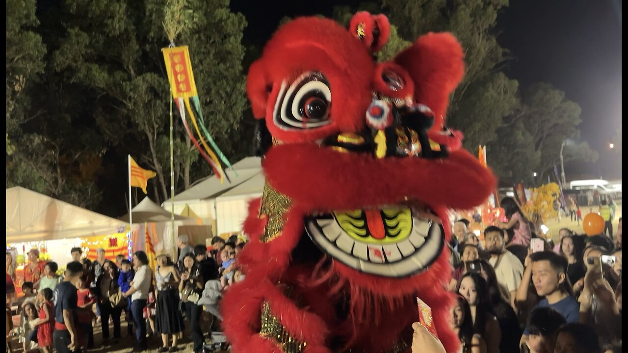 Lion Dance Chinese New Year 2025 Year of the Wooden Snake at Girrawheen Senior School Perth