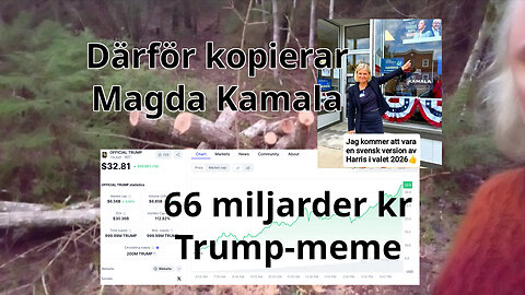 Stripe-censur. TRUMP coin. Använda falska nyheter för att se lögnare. Georgesco 50%. Magda-Kamala?