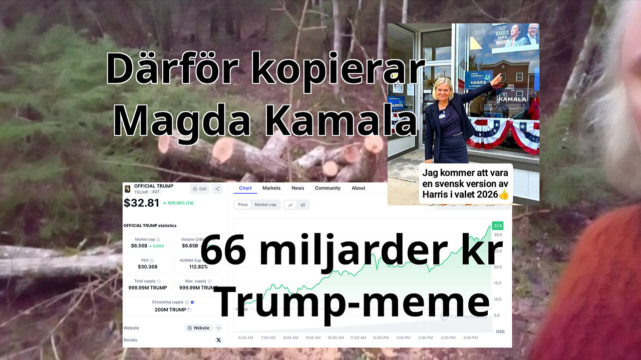 Stripe-censur. TRUMP coin. Använda falska nyheter för att se lögnare. Georgesco 50%. Magda-Kamala?