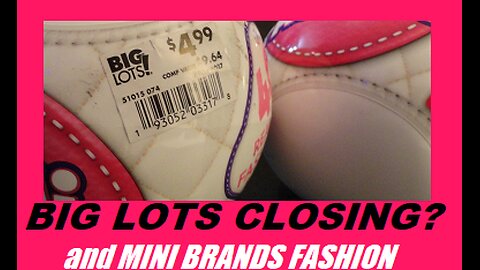 Big Lots Closing? and Zuru Mini Brands Fashion