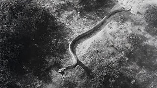 5 Times Special Forces Battled Something Not Quite Human