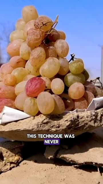 Mud fridges. An ancient, practical way to preserve freshness for a long time. No electricity?