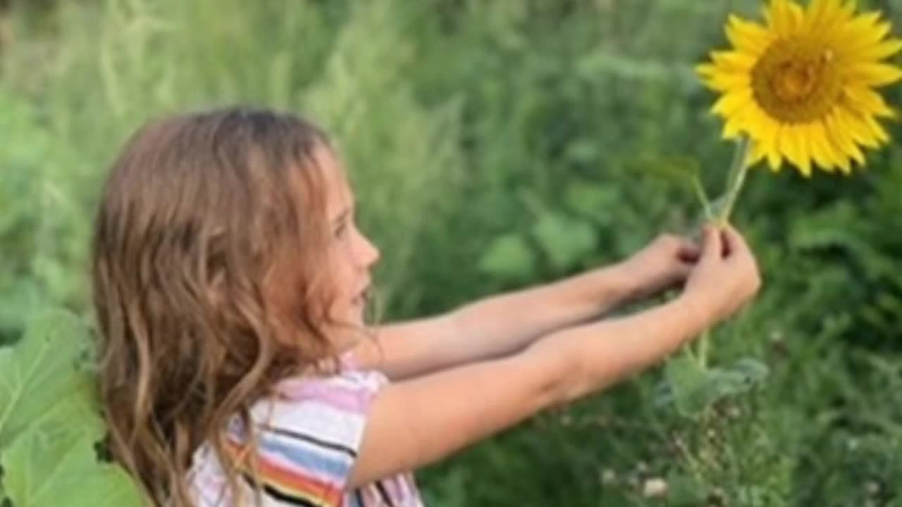 Fox & Hound - Let’s talk about America-Free Live 11/19 4:00 PM EST