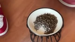 🤣💪 You Won't Believe What Happens When Meaw Skips Leg Day! | FunFM