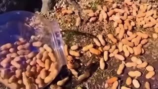 😂💰 Little Dude Hits the Jackpot! | FunFM