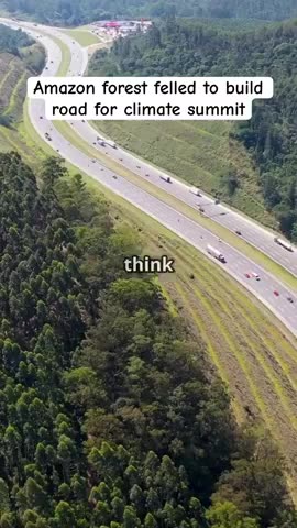 Amazon forest felled to build road for climate summit | BBC News