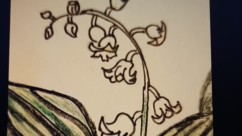 CONVALLARIA MAJALIS FLOWER