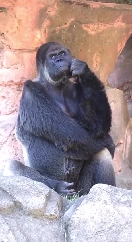 Racking my brain trying to understand today’s world