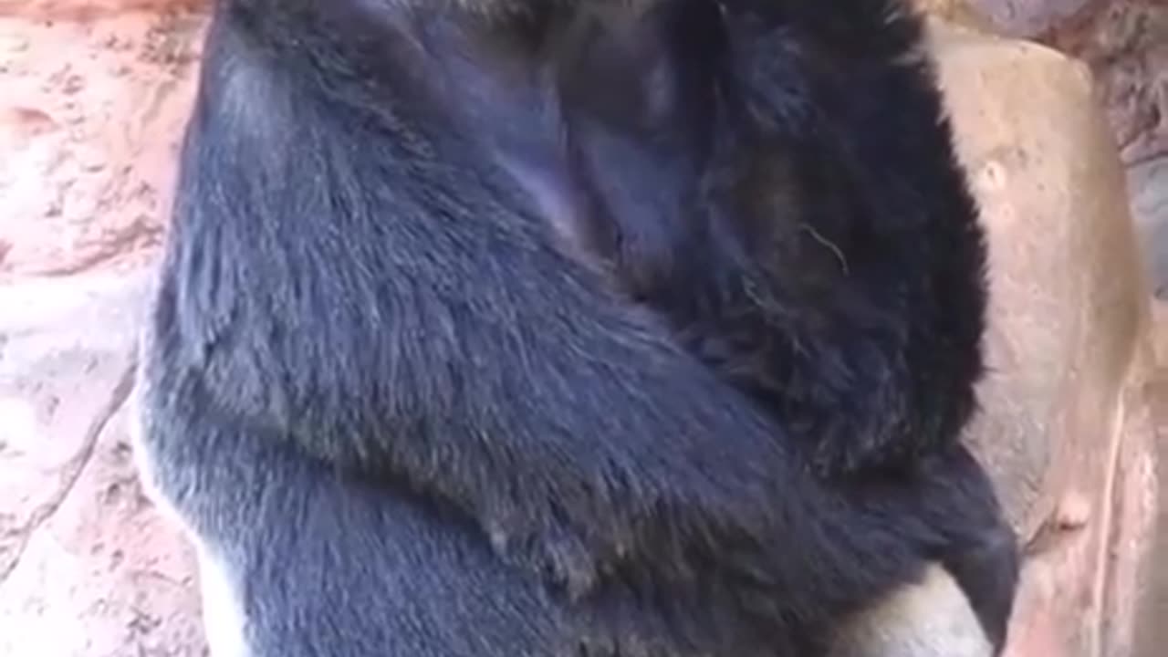 Racking my brain trying to understand today’s world