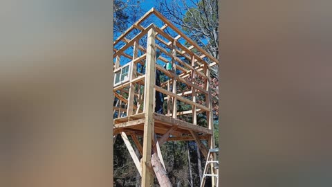 Deer blind, spar varnish roof framing!